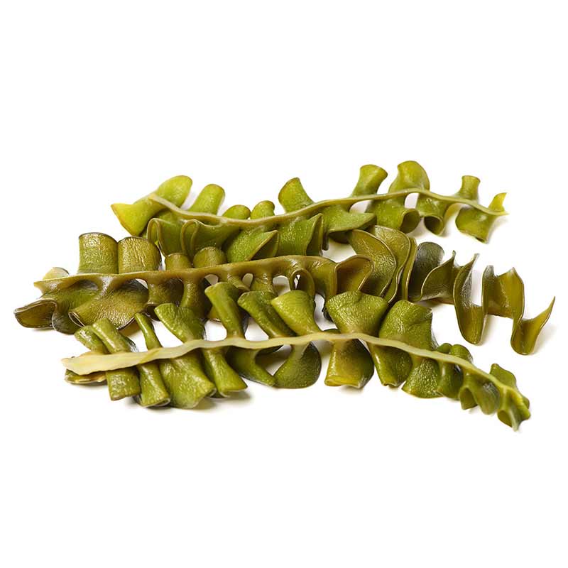 Hush & Hush DeeplyRooted hair growth serum Capisoothe