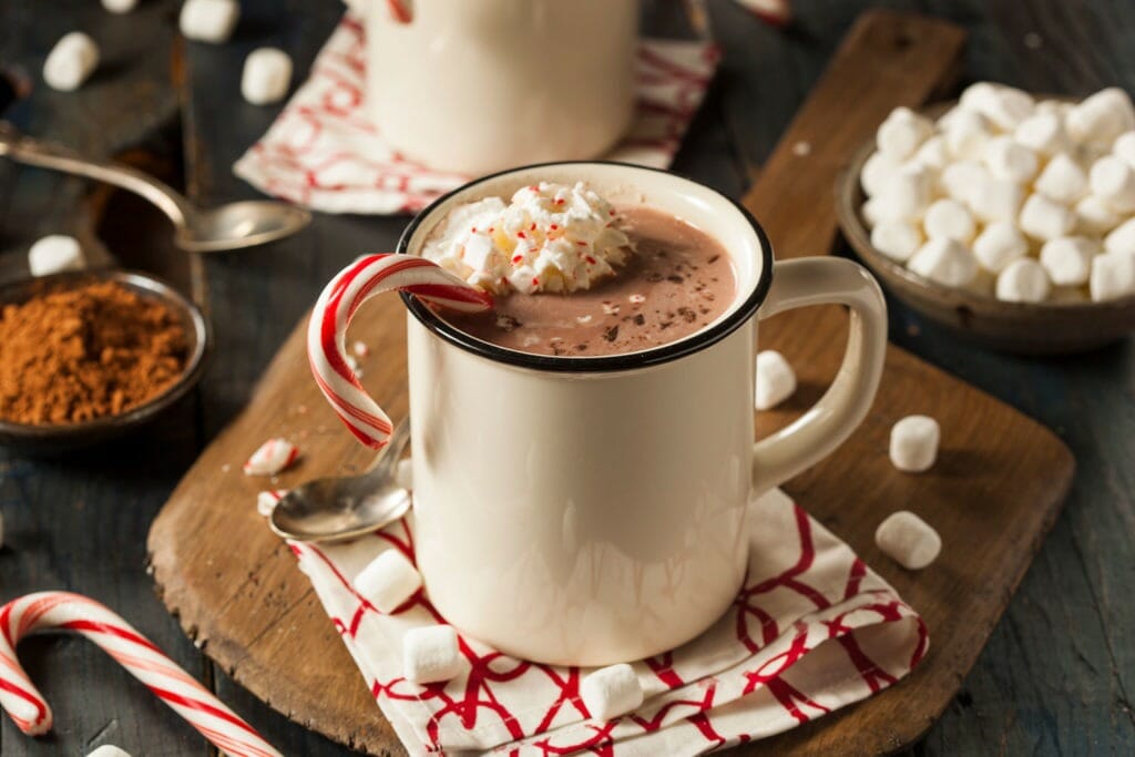 Peppermint Hot Chocolate with PlantYourDay