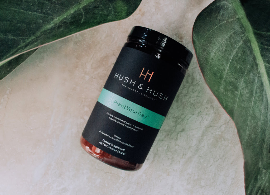 How a Healthy Gut Can Boost Your Energy and Focus