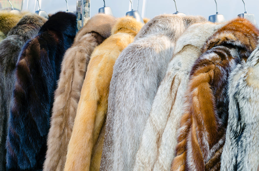 Fur Coat, Fur, Fashion, Close-up, Clothing