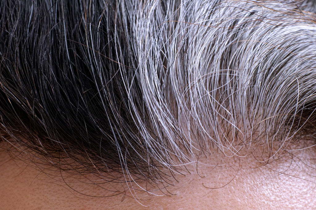 aging hair, SEO: Gray Hair, Human Hair, Gray Color, Women, Close-up
